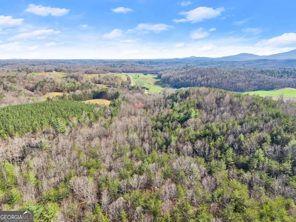 0 Elliott Family PKWY Dawsonville, GA 30534