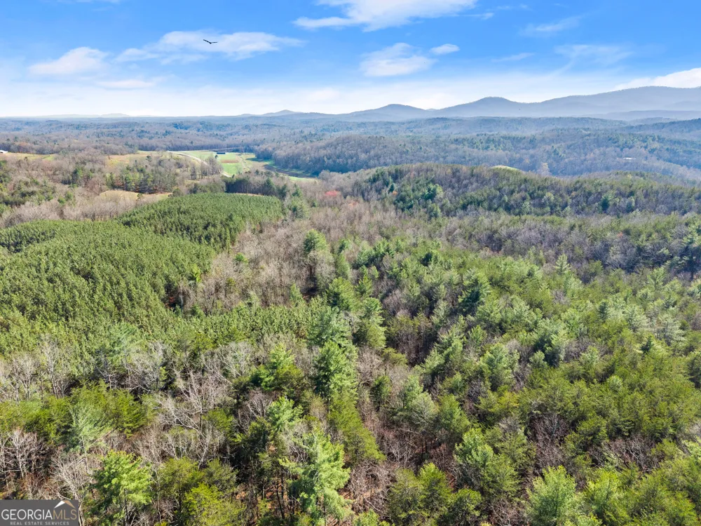 0 Elliott Family PKWY Dawsonville, GA 30534