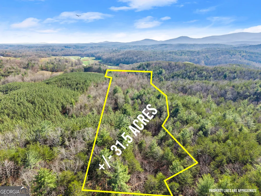 0 Elliott Family PKWY Dawsonville, GA 30534