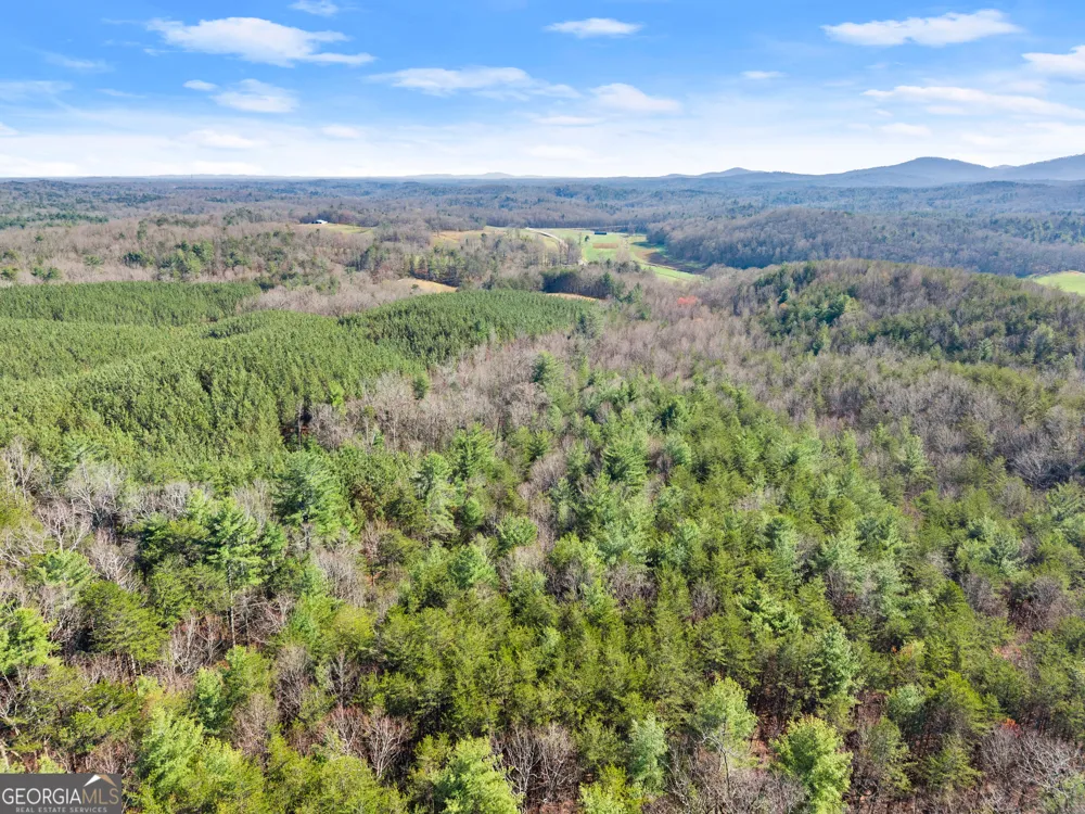 0 Elliott Family PKWY Dawsonville, GA 30534