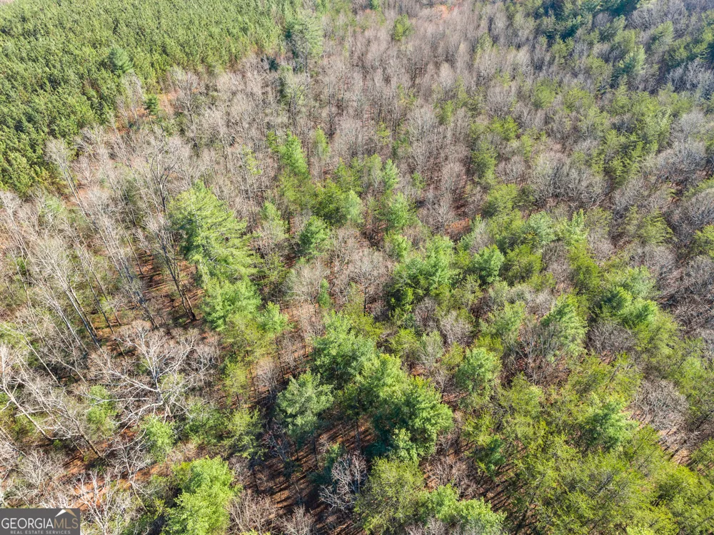 0 Elliott Family PKWY Dawsonville, GA 30534