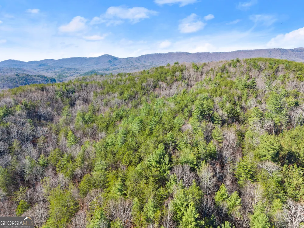 0 Elliott Family PKWY Dawsonville, GA 30534