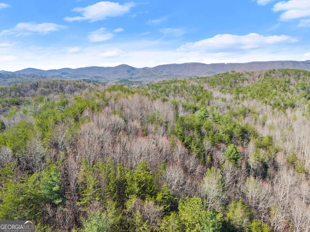 0 Elliott Family PKWY Dawsonville, GA 30534