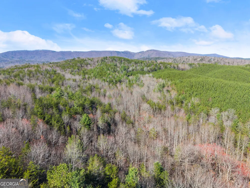 0 Elliott Family PKWY Dawsonville, GA 30534