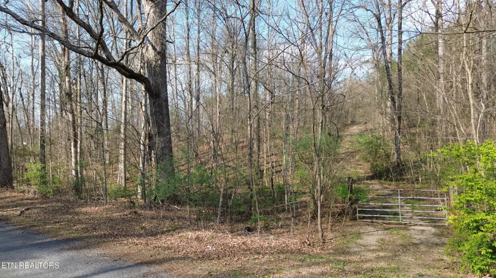 0 County Road 860 Delano, TN 37325