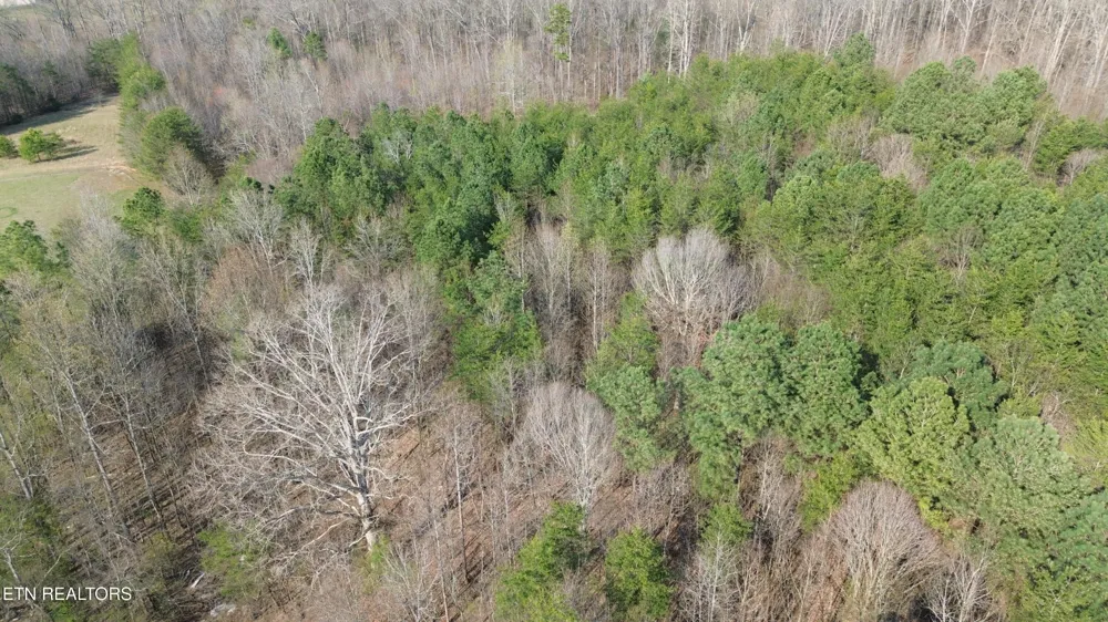 0 County Road 860 Delano, TN 37325