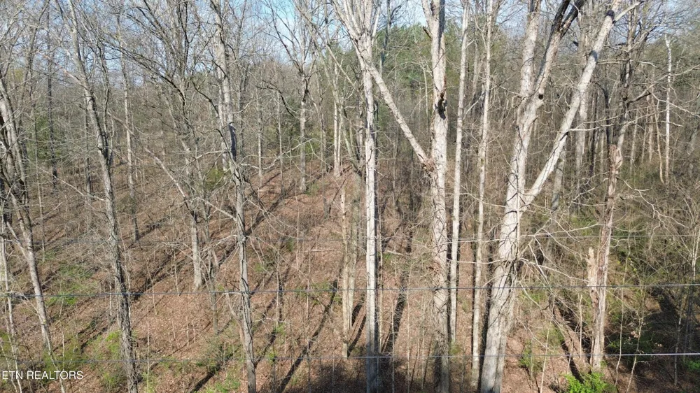 0 County Road 860 Delano, TN 37325