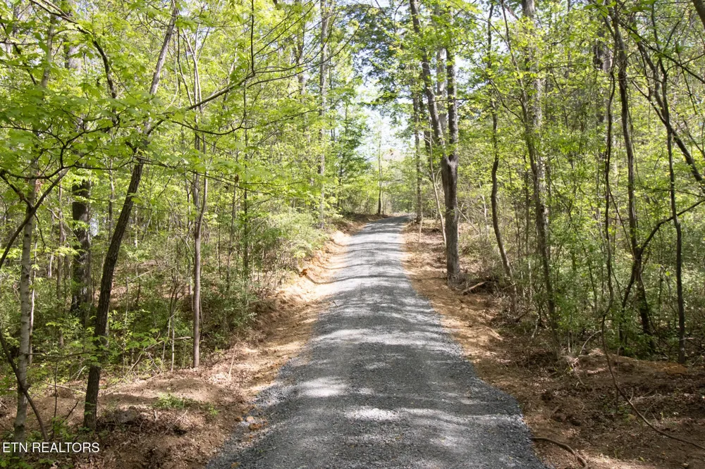 0 County Road 860 Delano, TN 37325