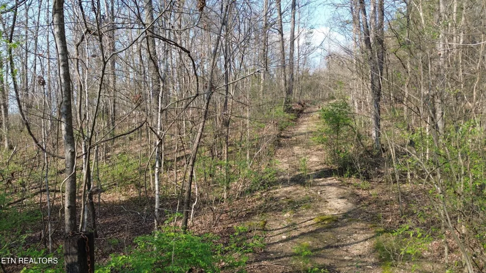 0 County Road 860 Delano, TN 37325