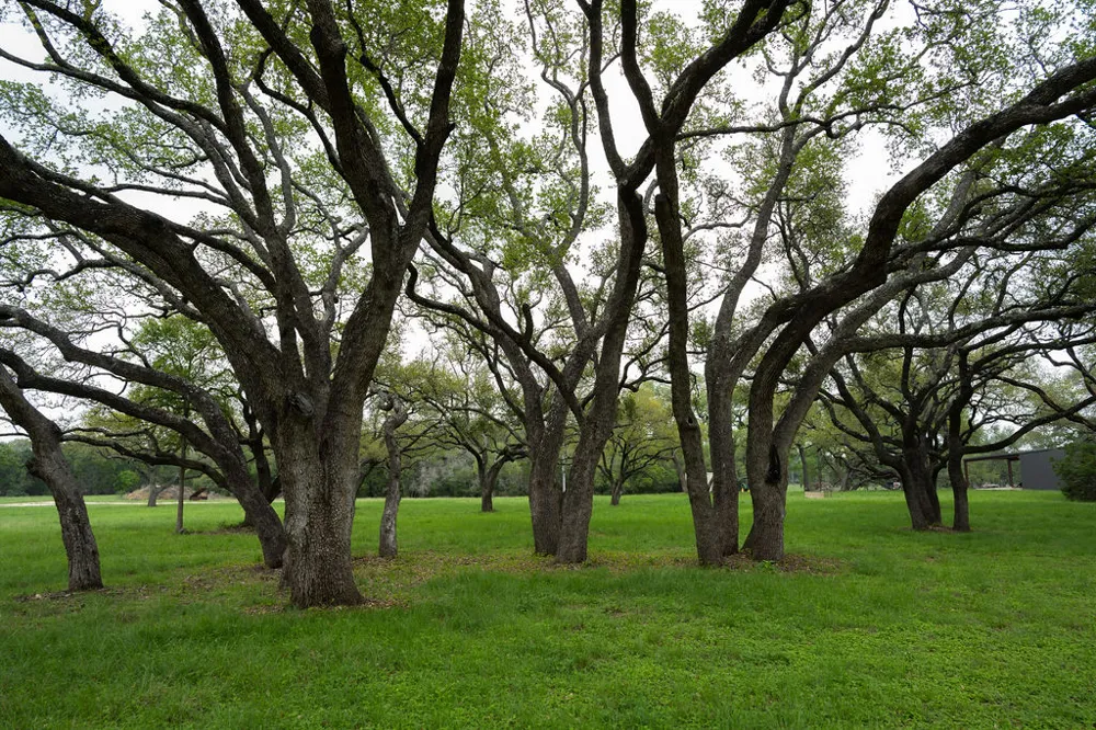 426 Mill Run New Braunfels, TX 78132