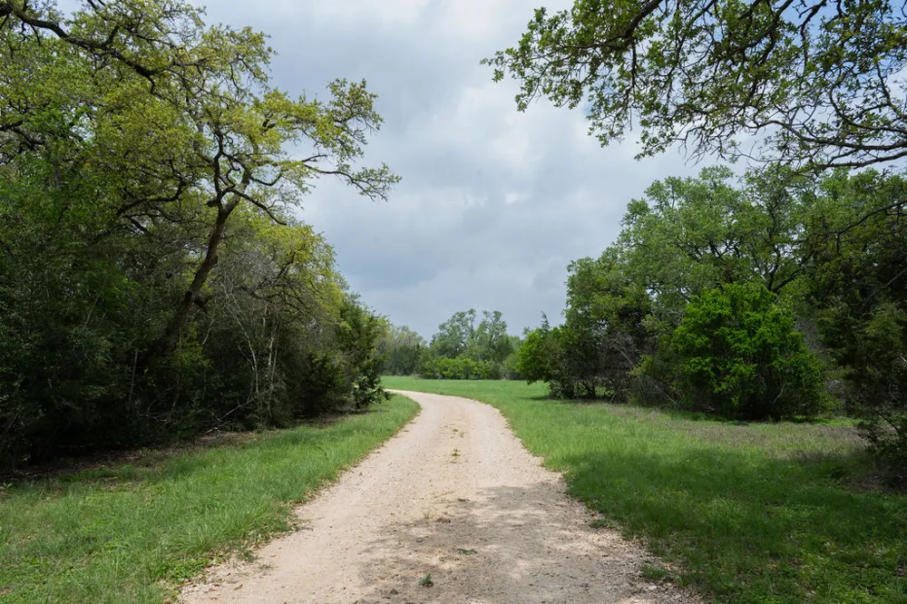 426 Mill Run New Braunfels, TX 78132