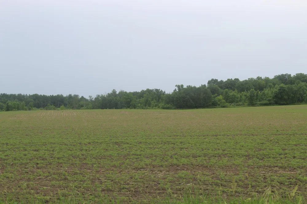 TBD-1 120th Avenue Ogilvie, MN 56358