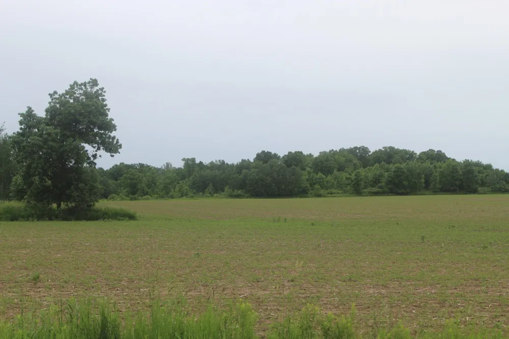 TBD-1 120th Avenue Ogilvie, MN 56358