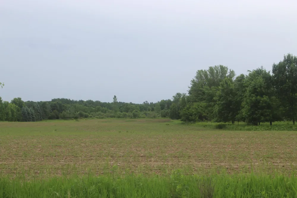 TBD-1 120th Avenue Ogilvie, MN 56358