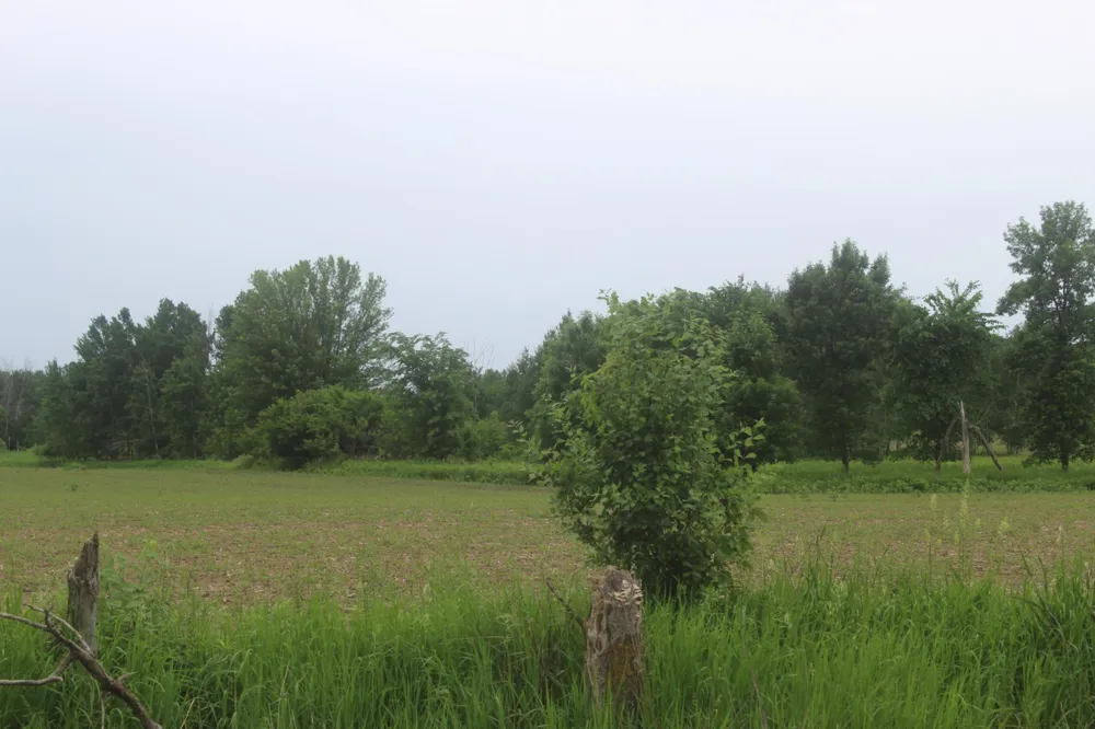 TBD-1 120th Avenue Ogilvie, MN 56358