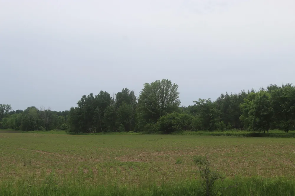 TBD-1 120th Avenue Ogilvie, MN 56358
