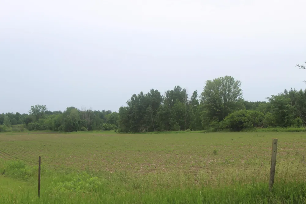 TBD-1 120th Avenue Ogilvie, MN 56358