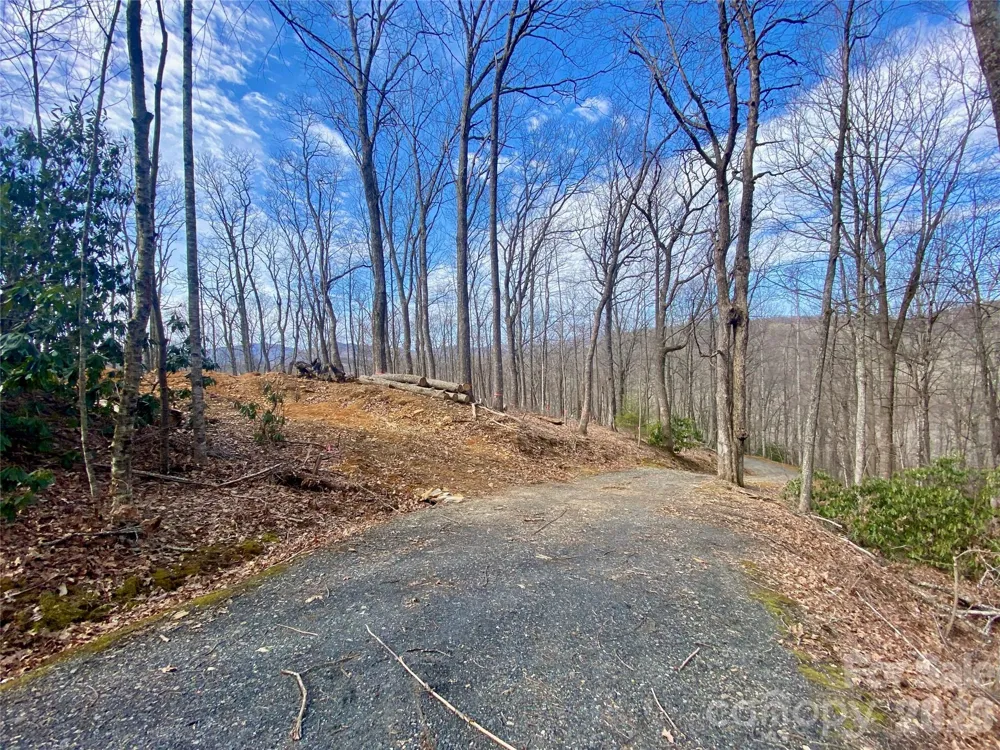 TBD Old Chestnut Mountain Road Newland, NC 28657
