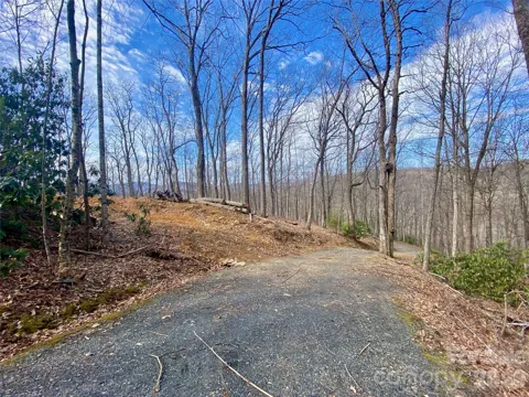 TBD Old Chestnut Mountain Road