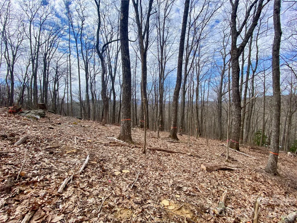 TBD Old Chestnut Mountain Road Newland, NC 28657
