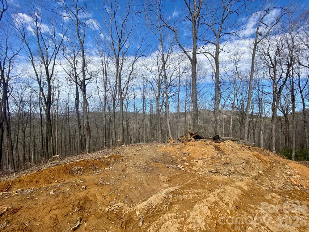 TBD Old Chestnut Mountain Road Newland, NC 28657