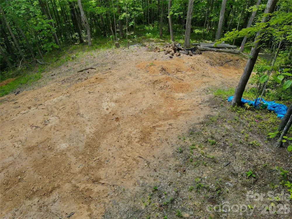 TBD Old Chestnut Mountain Road Newland, NC 28657