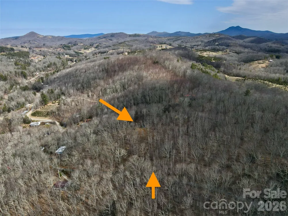 TBD Old Chestnut Mountain Road Newland, NC 28657