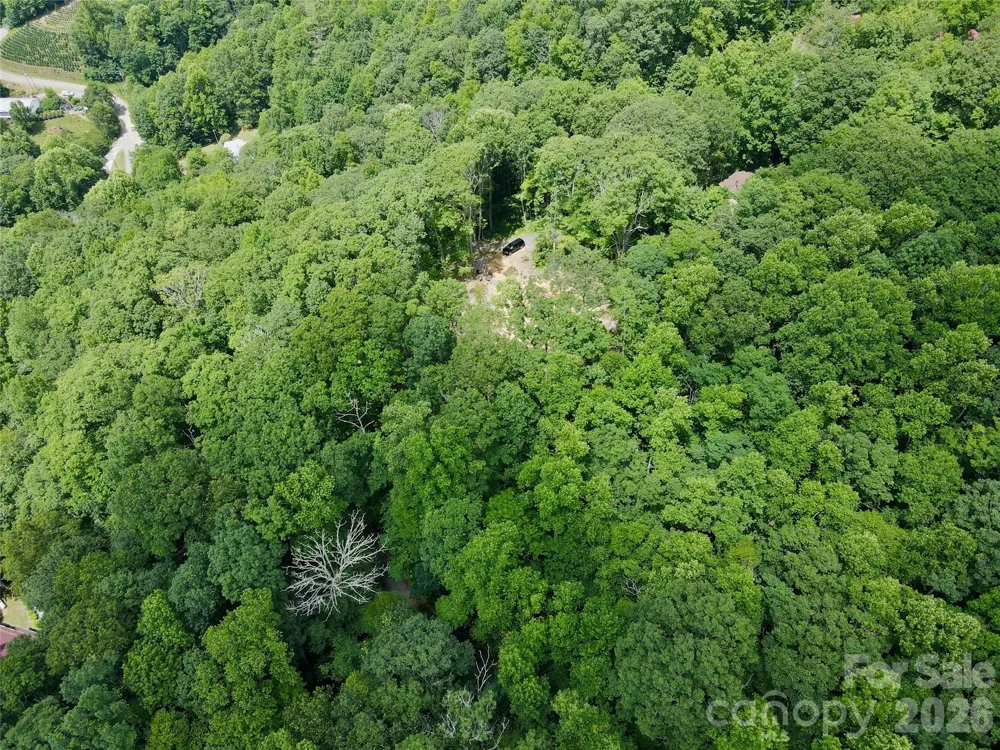 TBD Old Chestnut Mountain Road Newland, NC 28657