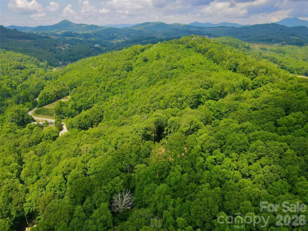 TBD Old Chestnut Mountain Road Newland, NC 28657