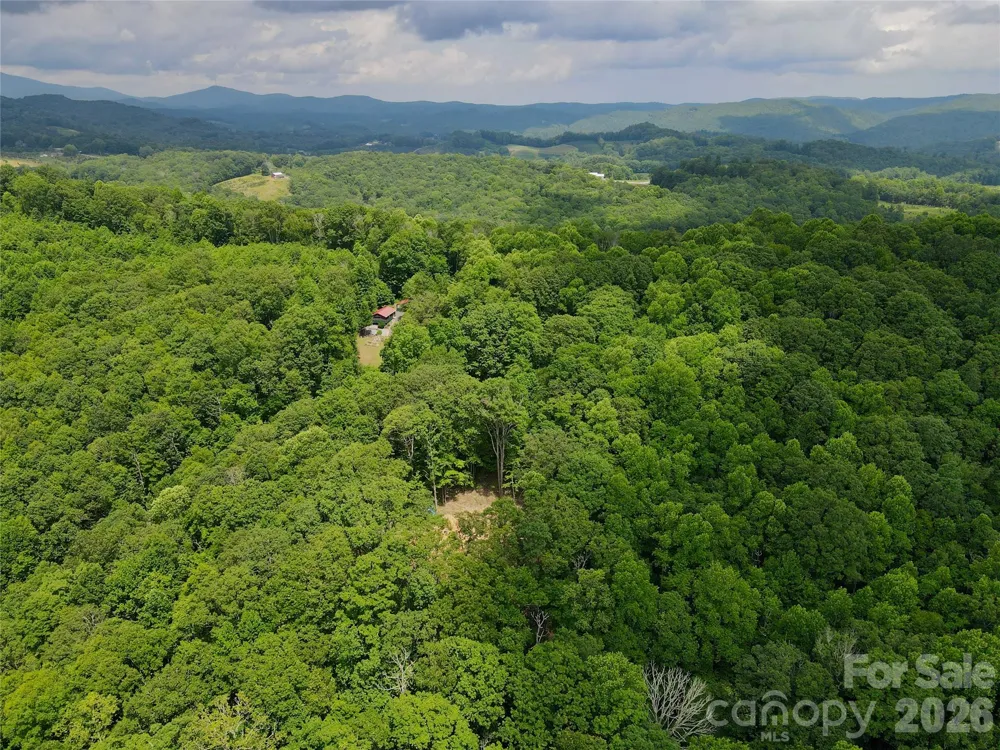 TBD Old Chestnut Mountain Road Newland, NC 28657