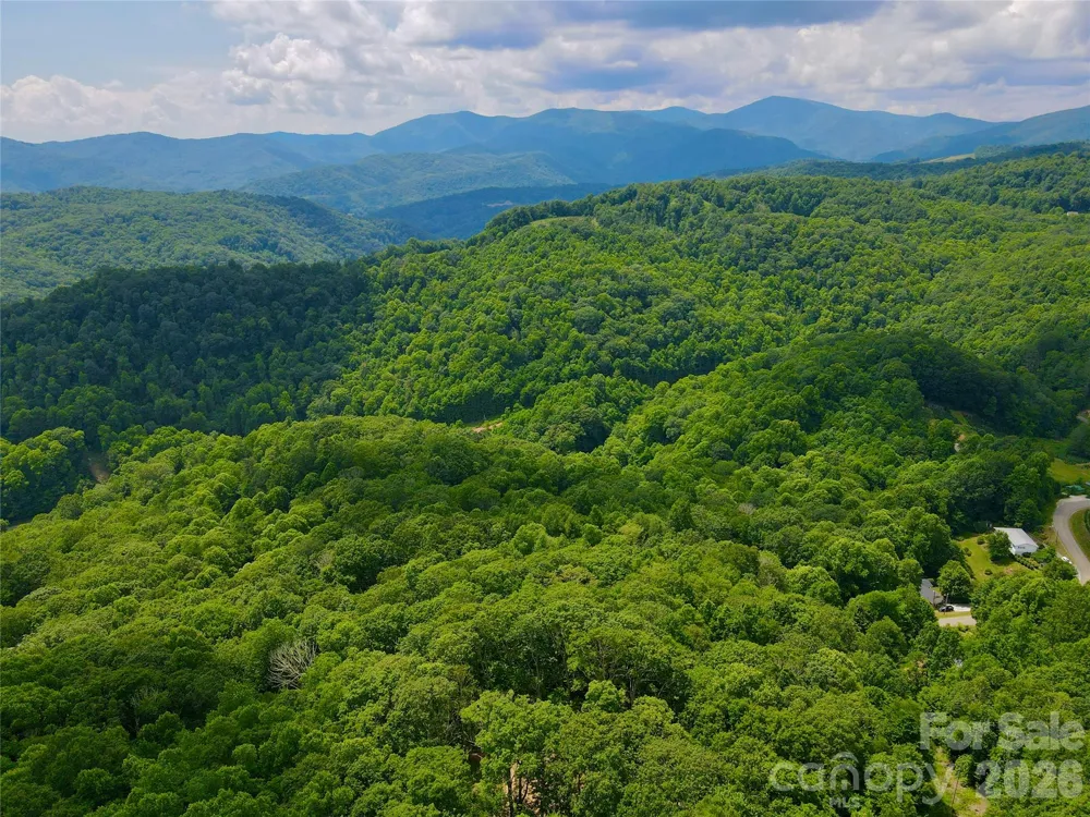 TBD Old Chestnut Mountain Road Newland, NC 28657