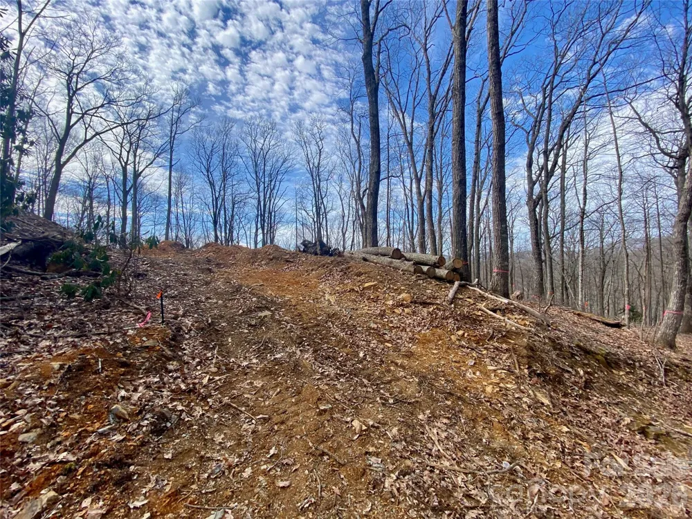 TBD Old Chestnut Mountain Road Newland, NC 28657