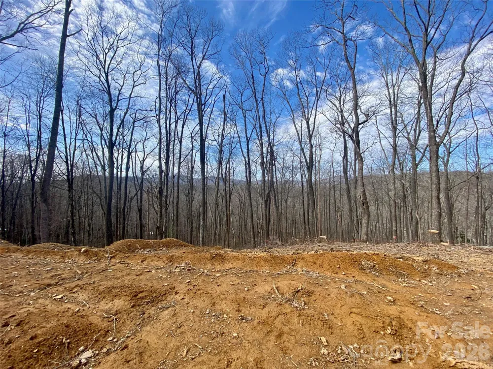 TBD Old Chestnut Mountain Road Newland, NC 28657