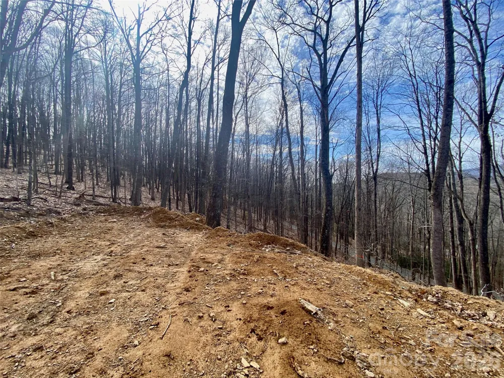 TBD Old Chestnut Mountain Road Newland, NC 28657