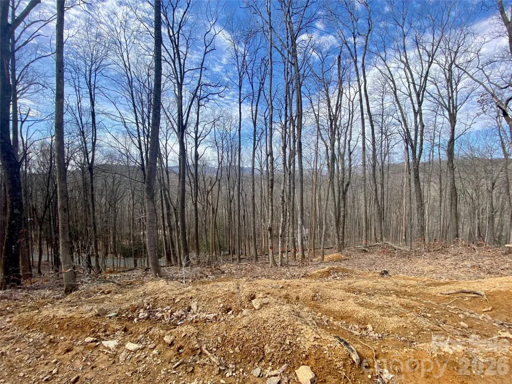 TBD Old Chestnut Mountain Road Newland, NC 28657