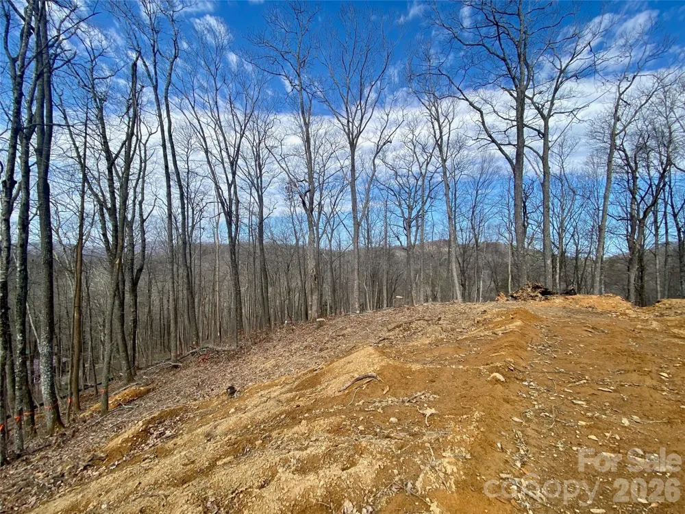 TBD Old Chestnut Mountain Road Newland, NC 28657