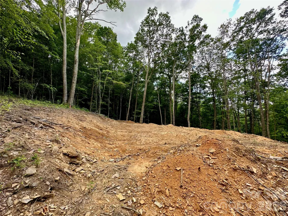 TBD Old Chestnut Mountain Road Newland, NC 28657