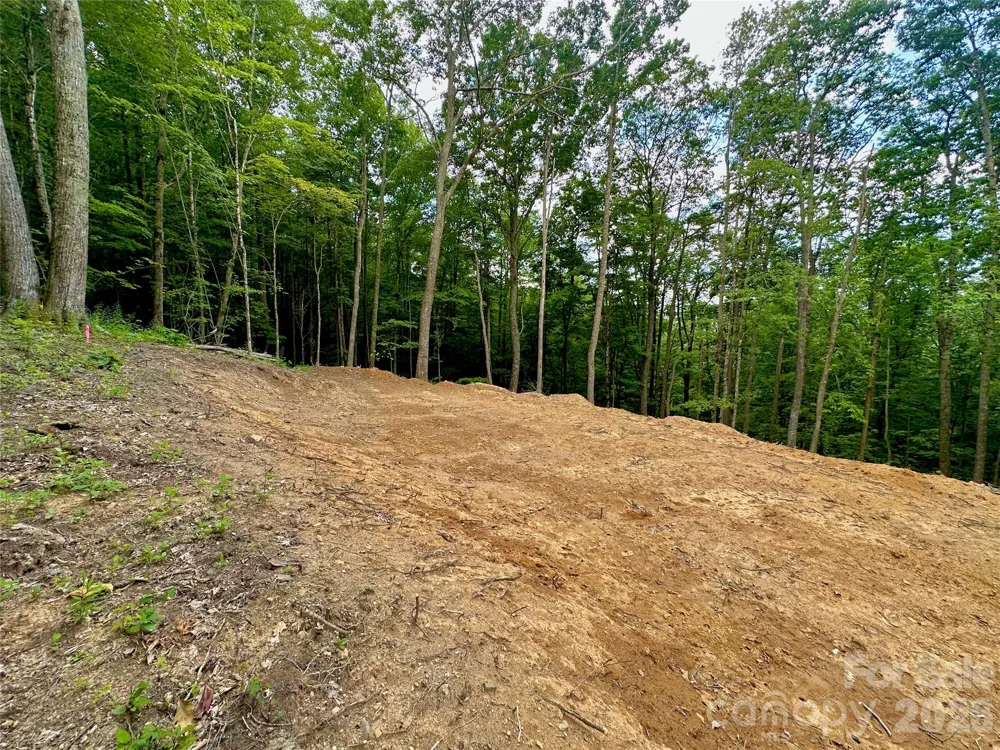 TBD Old Chestnut Mountain Road Newland, NC 28657
