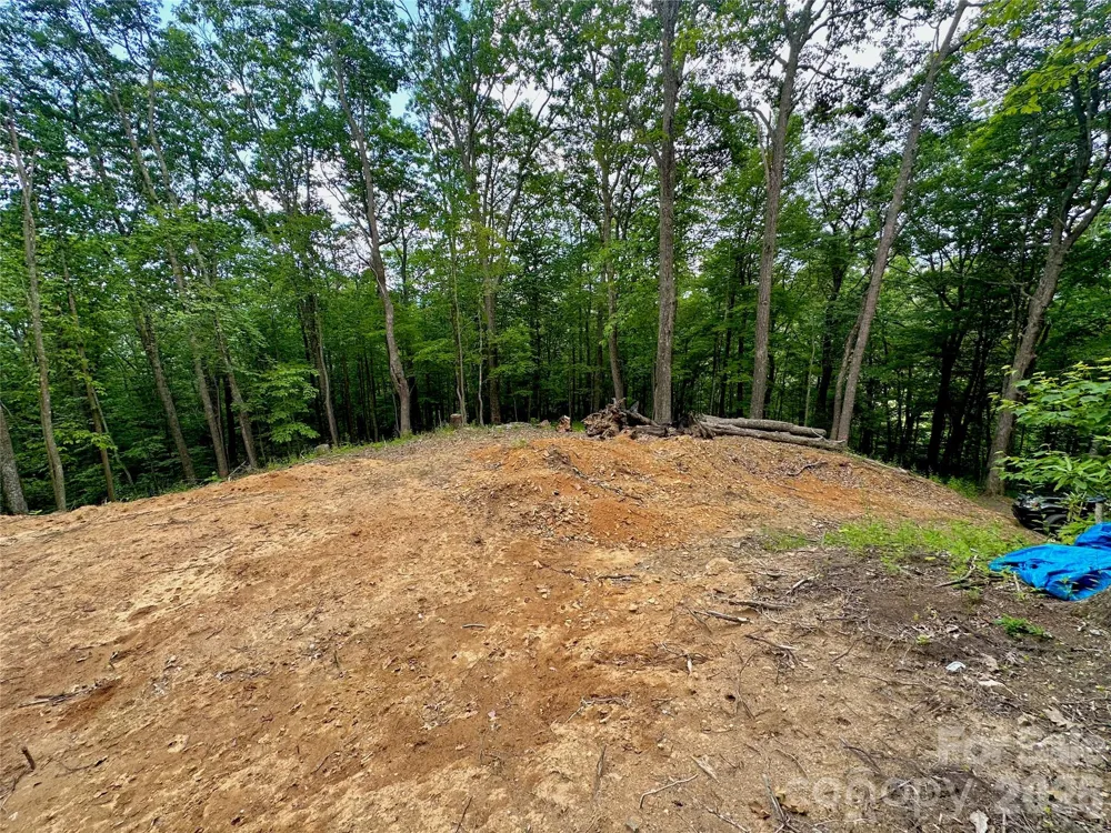 TBD Old Chestnut Mountain Road Newland, NC 28657