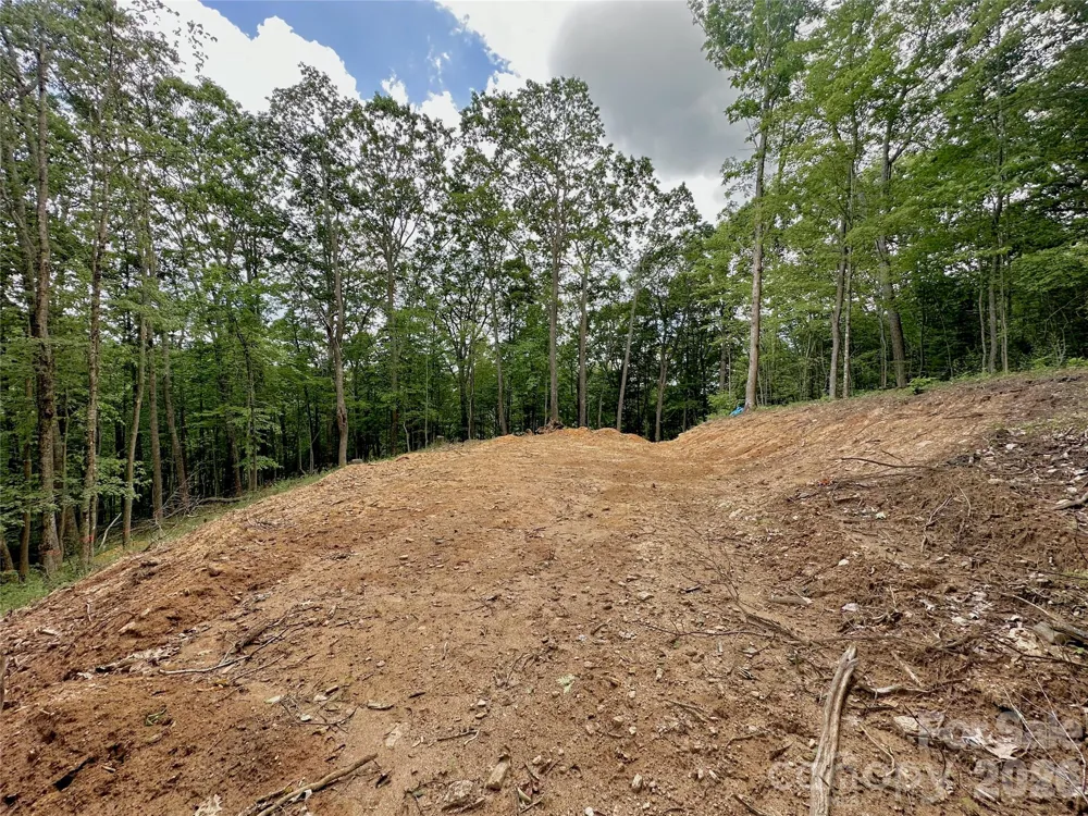 TBD Old Chestnut Mountain Road Newland, NC 28657