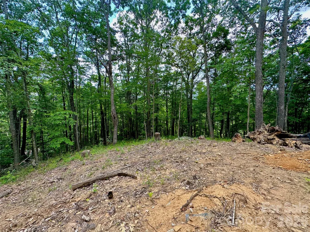 TBD Old Chestnut Mountain Road Newland, NC 28657