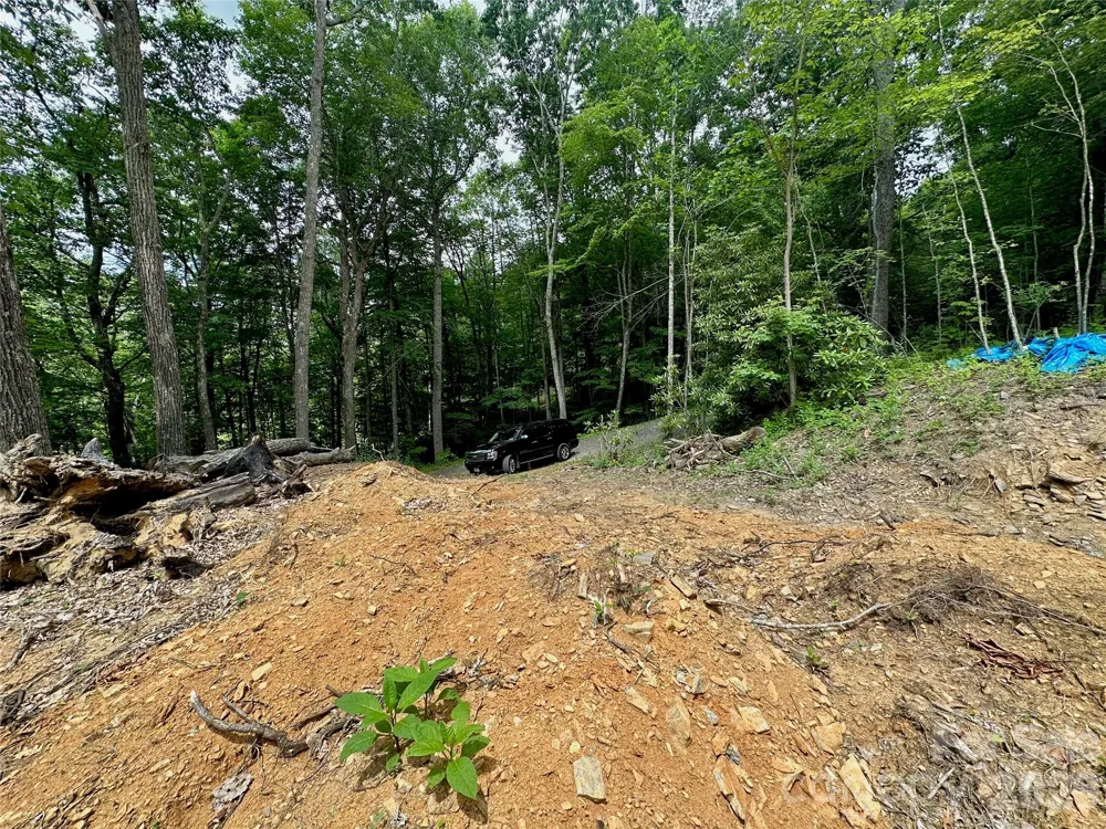 TBD Old Chestnut Mountain Road Newland, NC 28657