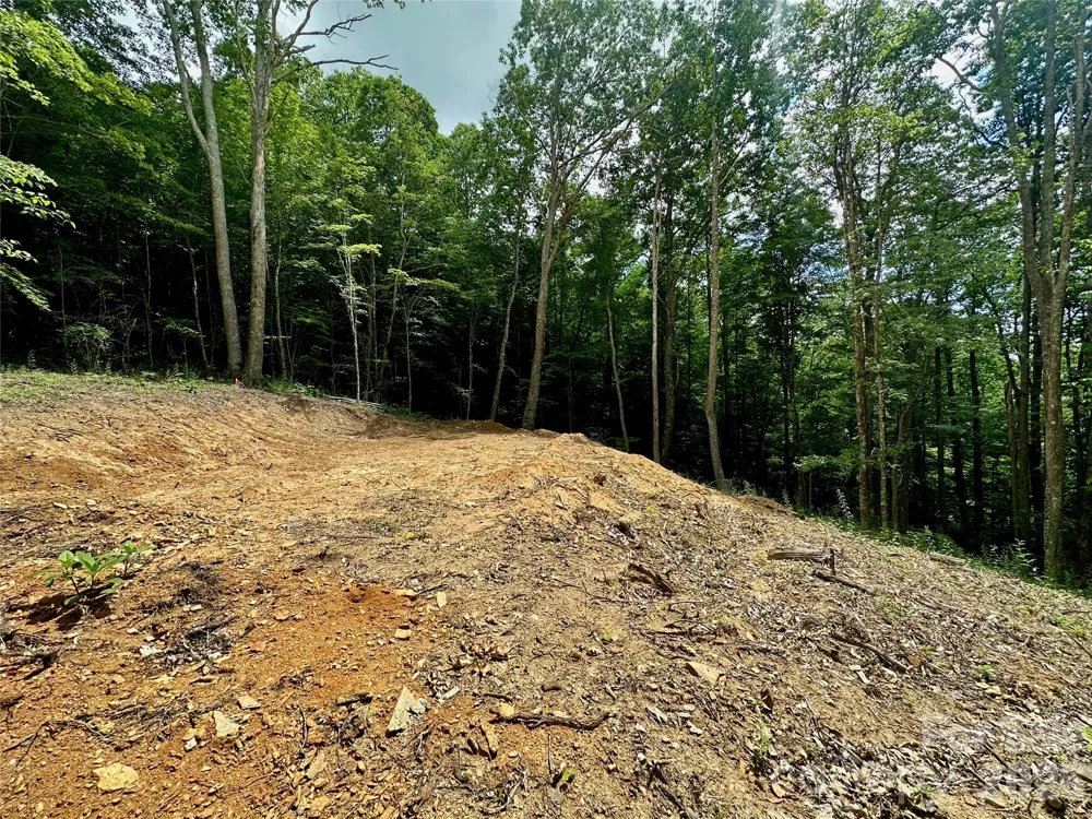 TBD Old Chestnut Mountain Road Newland, NC 28657