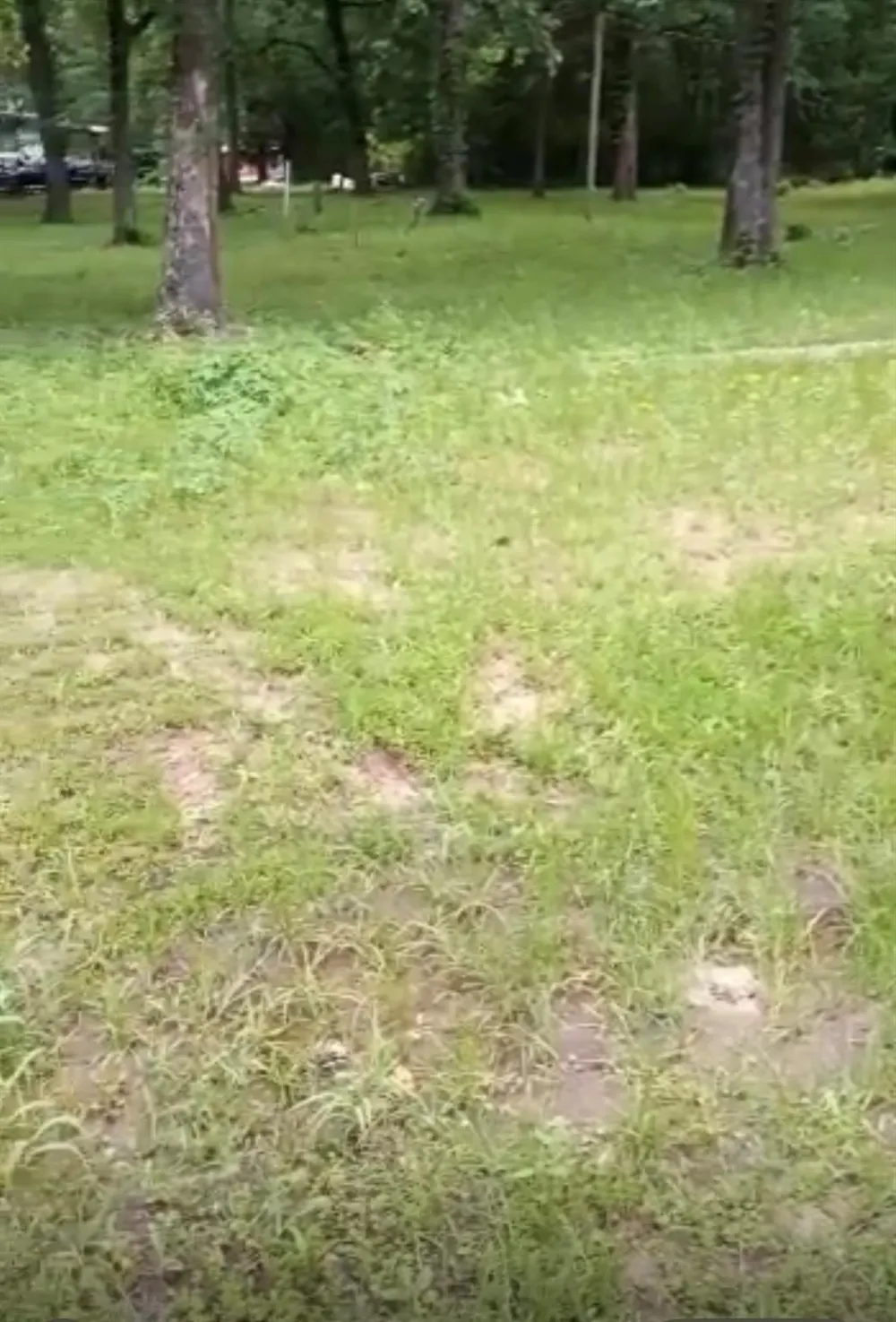 Natchez Trail Mabank, TX 75156