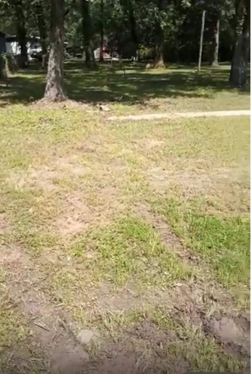 Natchez Trail Mabank, TX 75156