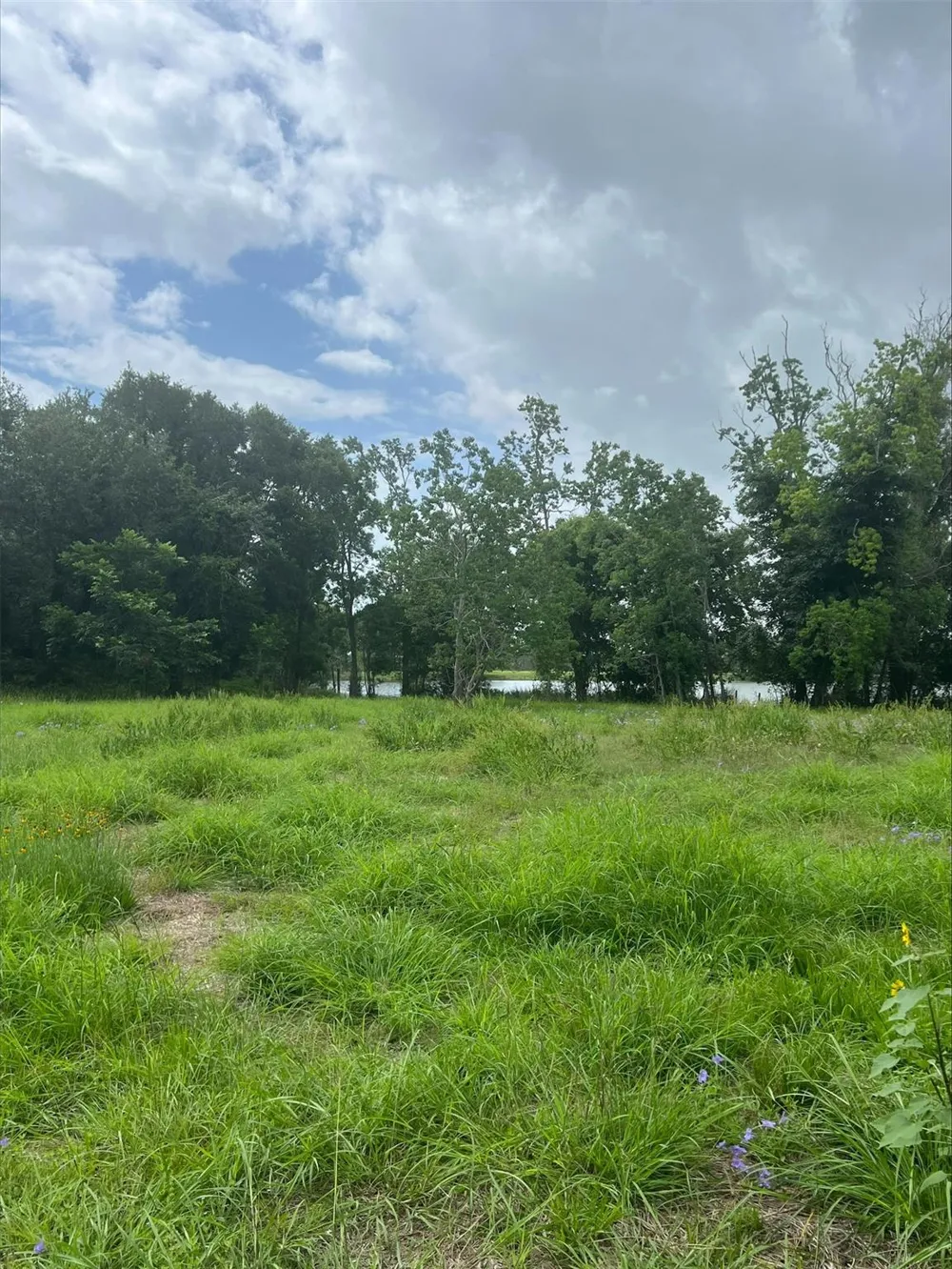 99 Kings Hill Palacios, TX 77465
