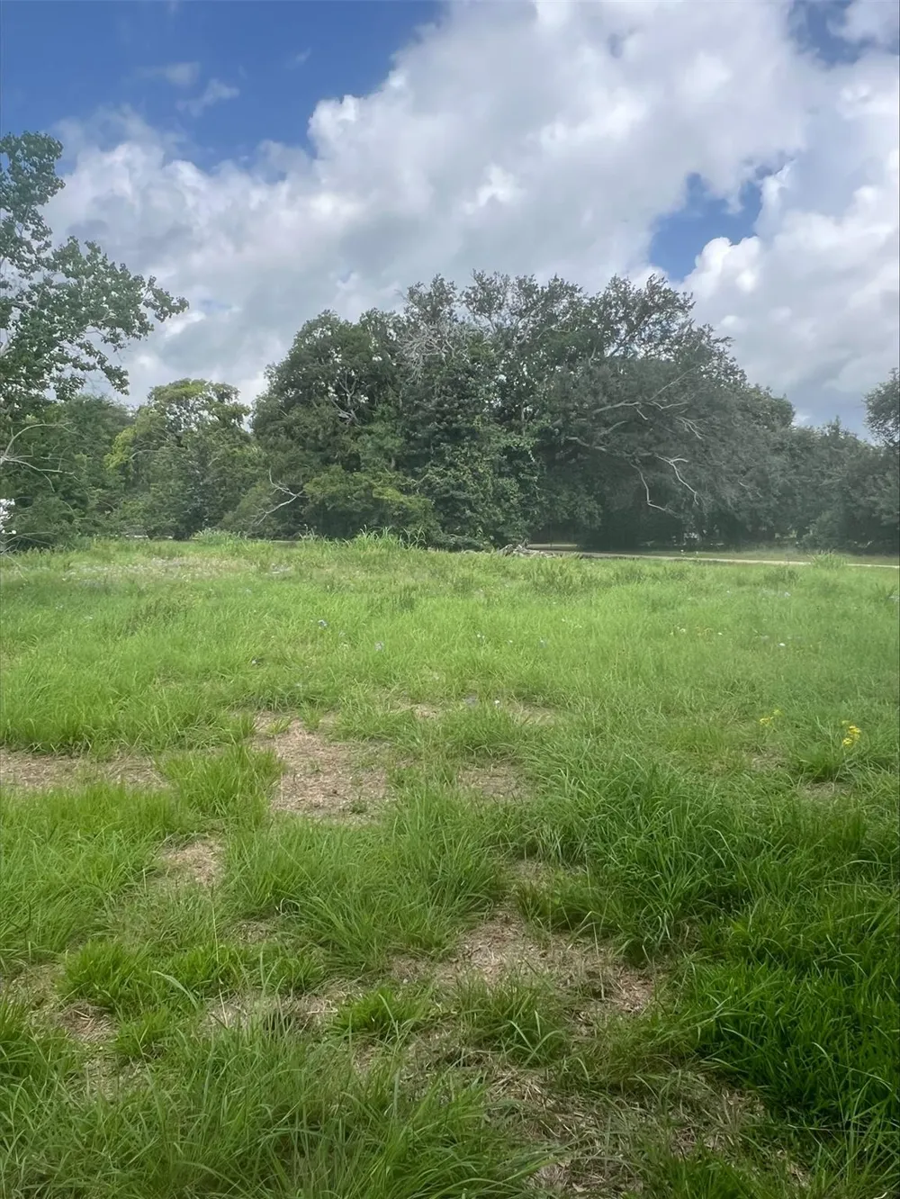 99 Kings Hill Palacios, TX 77465