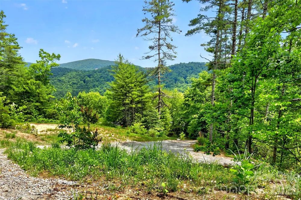 259 E Lester Lane Hendersonville, NC 28739