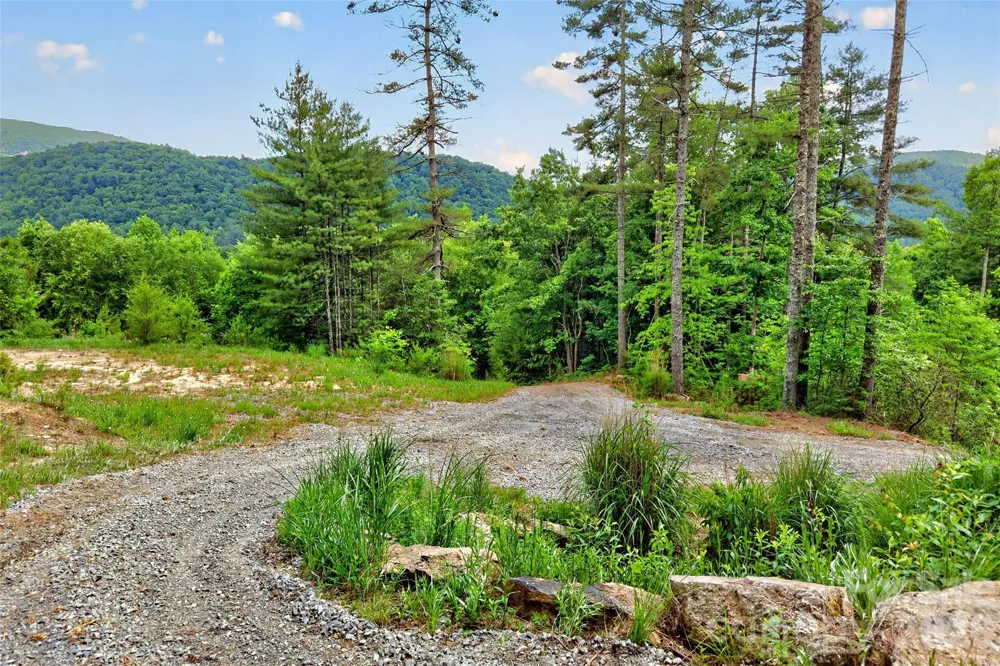 259 E Lester Lane Hendersonville, NC 28739