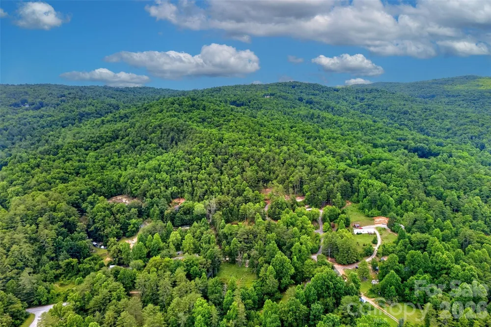 259 E Lester Lane Hendersonville, NC 28739
